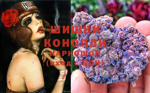 дживик Беломорск