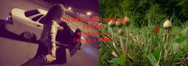мескалин Белокуриха