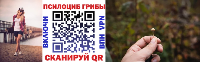 Псилоцибиновые грибы MAGIC MUSHROOMS Цоци-Юрт
